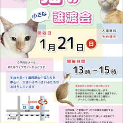 【臨時！】小さな譲渡会 ＠JR芦屋駅から徒歩3分