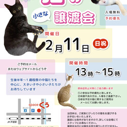 【臨時！】小さな譲渡会 ＠JR芦屋駅から徒歩3分