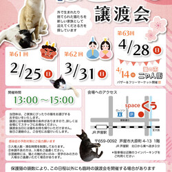 ねこの譲渡会＠JR芦屋駅から徒歩3分