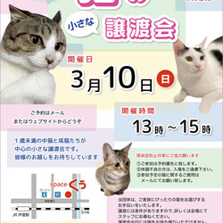 【臨時！】小さな譲渡会 ＠JR芦屋駅から徒歩3分