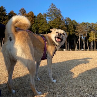 甘えん坊の「アルデちゃん」♀