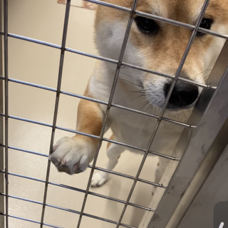 一時停止中です