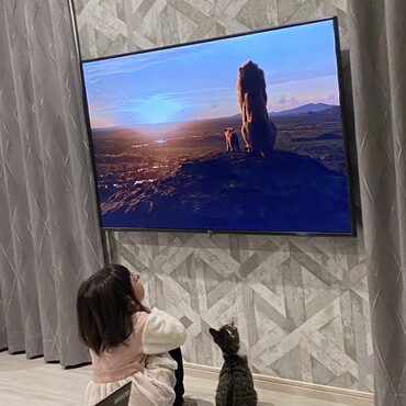 ライオンキングとシンクロ