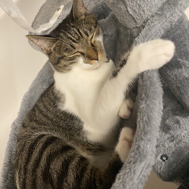 だいすきな場所