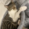 だいすきな場所
