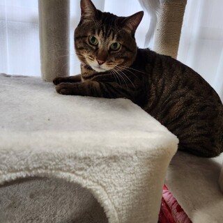 甘えて暮らす❗️家族と暮らす❗️夢実現❤️ジュニ