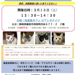 保護猫の譲渡会