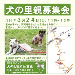 『犬の合宿所in高槻』の里親募集会