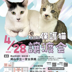 保護猫の譲渡会（予約制）