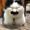 の写真