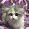 お迎えありがとうございました サムネイル3