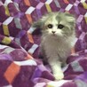 お迎えありがとうございました サムネイル5