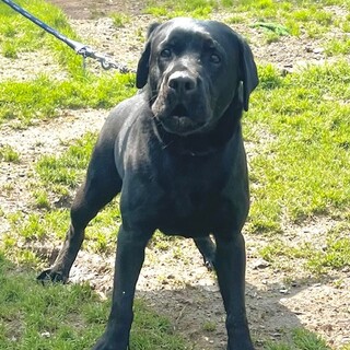 24-M48 ちょっとシャイなボーイです！