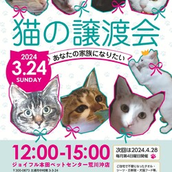 猫の譲渡会～あなたの家族になりたい～　　　　　　