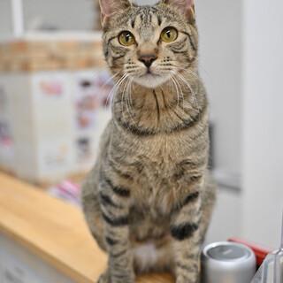 ラウト：元気いっぱいな男の子！