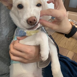 片耳だけど聞こえてるよ ★ メロン