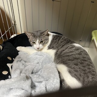 抱っこされると固まっちゃう女の子