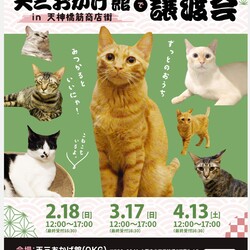 天三おかげ館で譲渡会