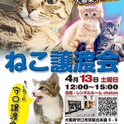 ねこ譲渡会＠守口市