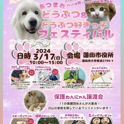 なごの家in蓮田市役所 あつまれどうぶつ＆どうぶつ好きっ子フェスティバル