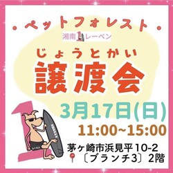 ペットフォレスト譲渡会