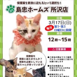 3月17日(日)　島忠ホームズ所沢店譲渡会！