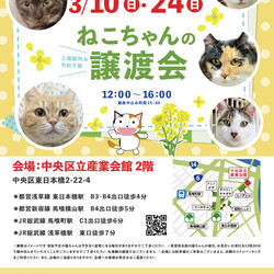 ねこざんまい譲渡会@東日本橋