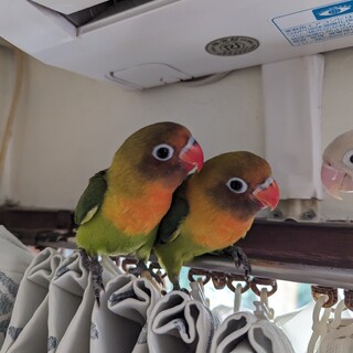 皆様、本当にありがとうございました！