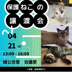 保護ねこの譲渡会　Green Cat よこはま　