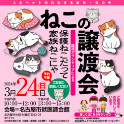 猫の譲渡会☆大須商店街近く