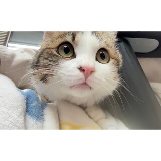 大きなお目目とキュートな口元さぶろう君♡