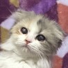 お迎えありがとうございました サムネイル6