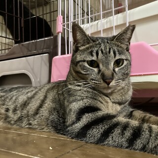 元気いっぱい⭐︎うみちゃん