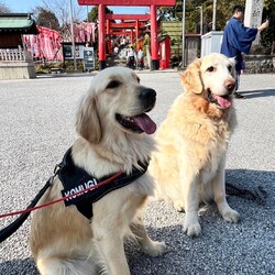 「2024/03/20」サムネイル2