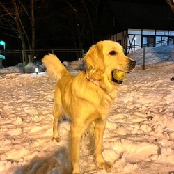 「2024/03/20」サムネイル3