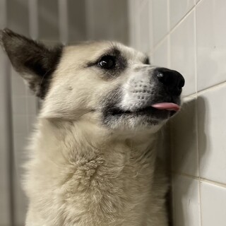 緊急❗️期限が3月22日まで‼️