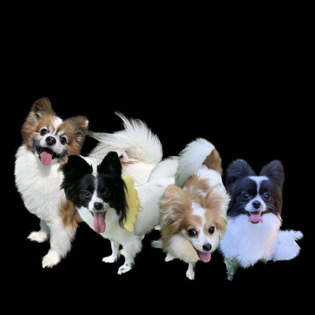 RUNA4のカバー写真