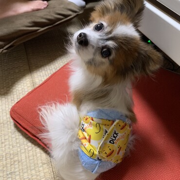 の写真