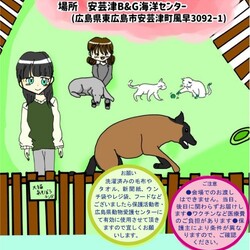 犬譲渡会
