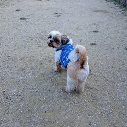 「今日は春分の日＆筆の日」サムネイル2