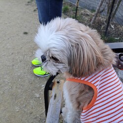 「今日は春分の日＆筆の日」サムネイル3