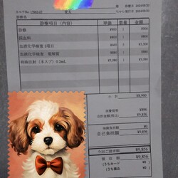 「腎不全と貧血と」サムネイル3