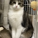 クリっとした大きな目がチャームポイントのルリ子