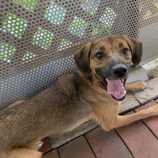 表情豊かな女の子4歳の『りんこ』ちゃん