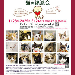 Bootymarket × [sakuraneko] 猫の譲渡会