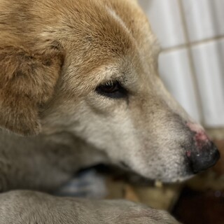 収容期限❗️3月26日迄‼️