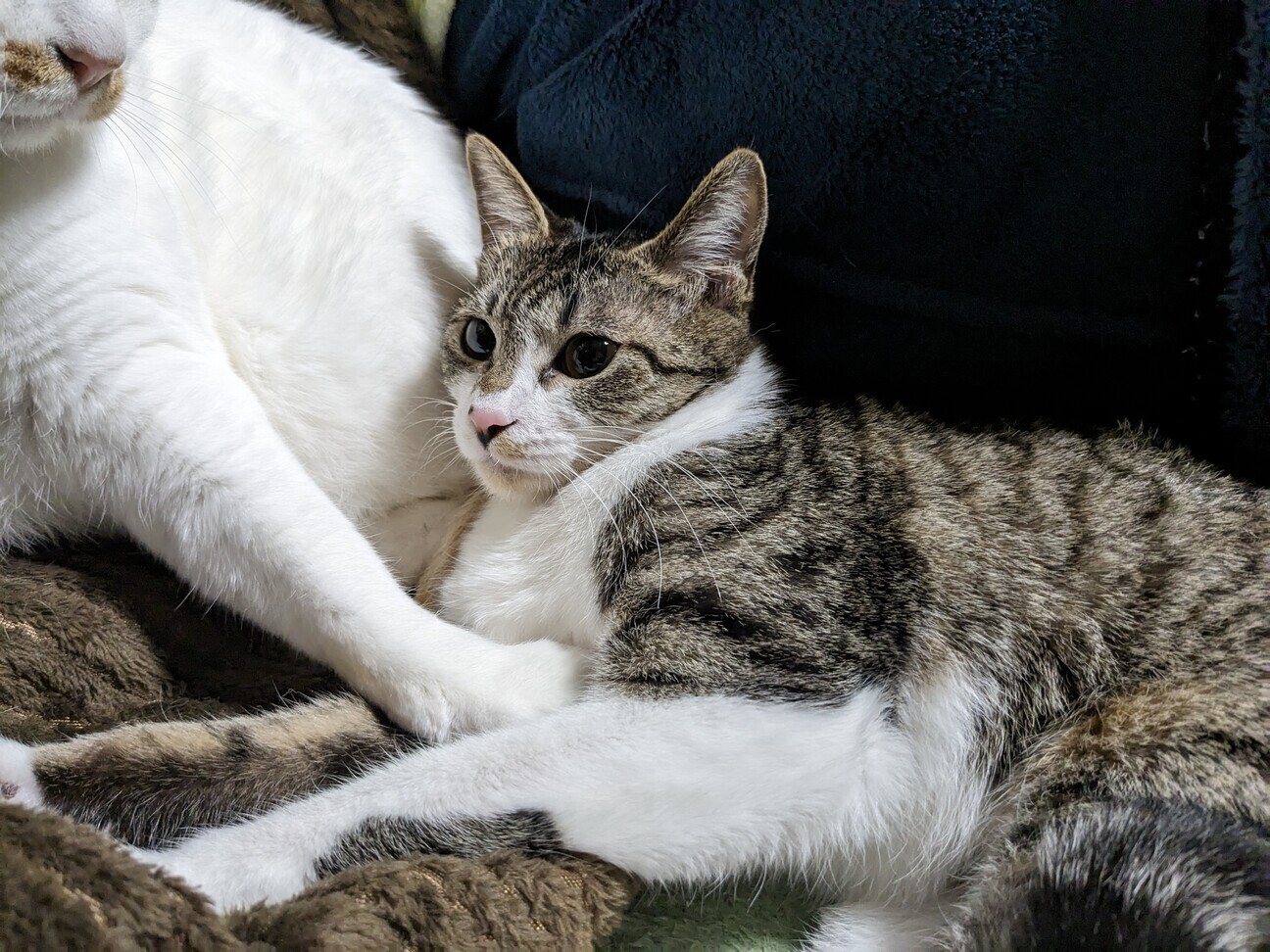 まさかの超甘えん坊 サムネイル7