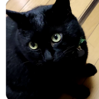 くろちゃん