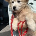 調整中のためいったんストップにてお願いいたします。