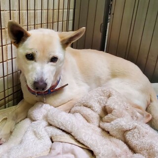 ありがとうございました！